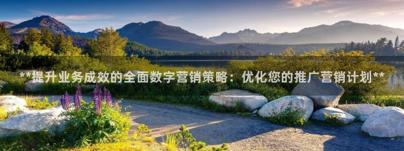 必赢国际是什么