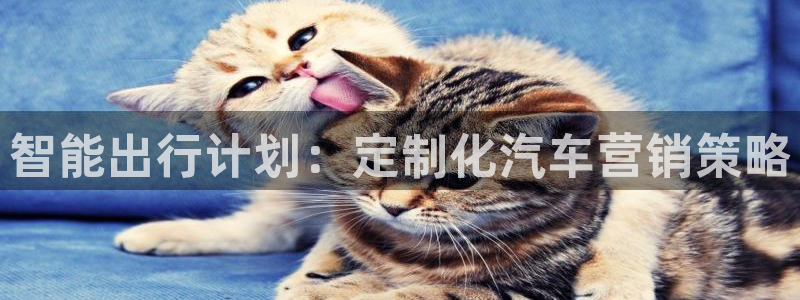 必赢3003am