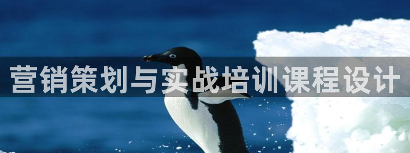 必赢网站是多少啊