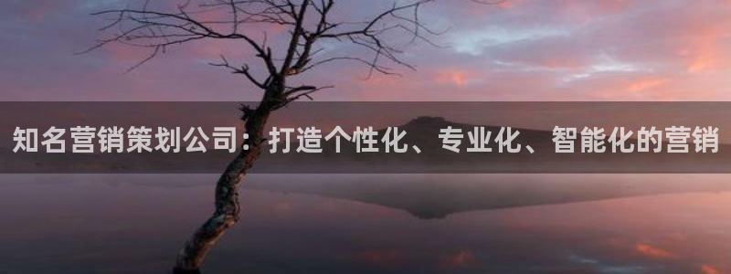 必赢棋盘官网版