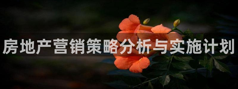 必赢网址手机主页