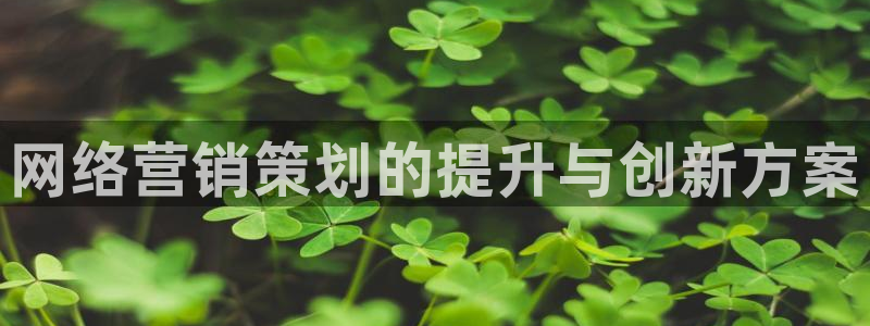 必赢国际官网登录