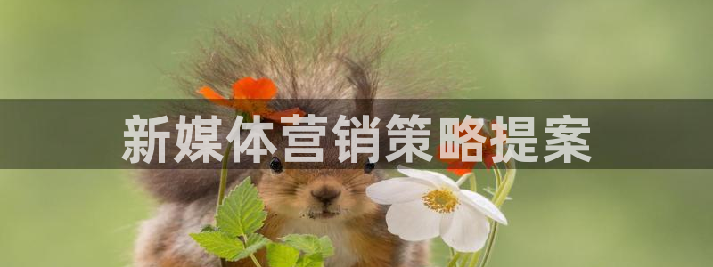 9965必赢游戏特色
