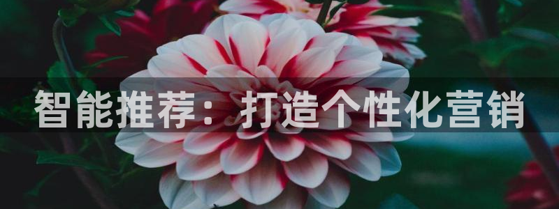 95必赢网址多少