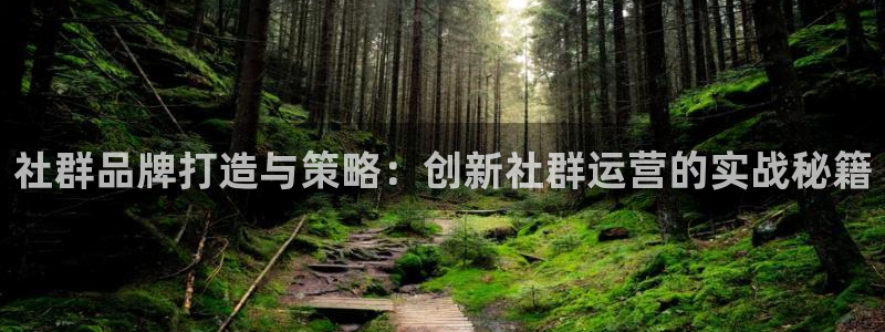 必赢手机app下载 最新版安卓苹果