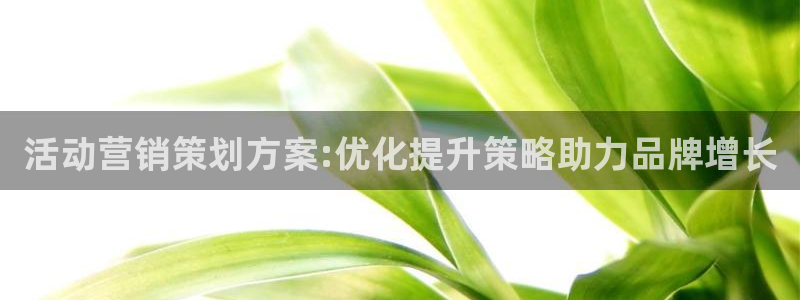 必赢集团网站改成多少