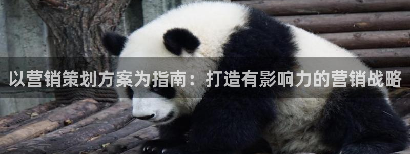 必赢3003am