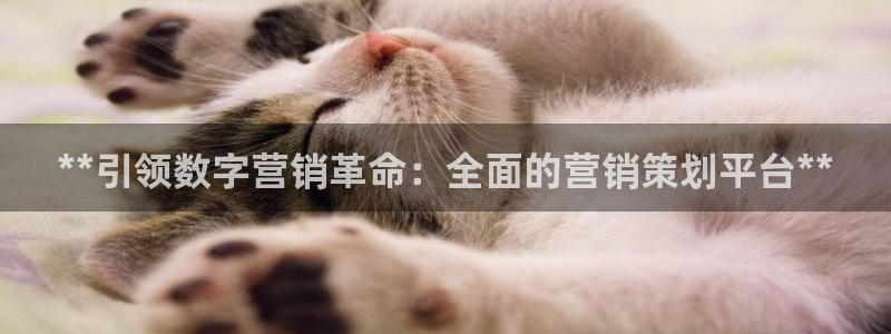 必赢官网app下载安装苹果版