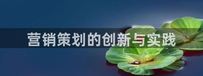 必赢手机app下载官网