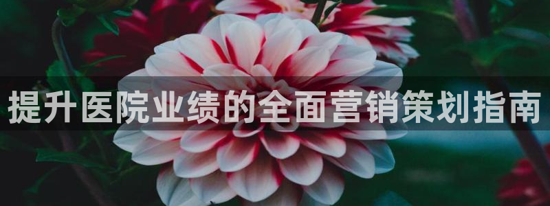 必赢棋盘9965.0版本