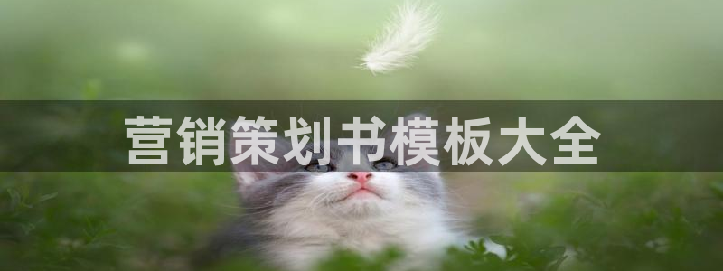 必赢国际软件下载