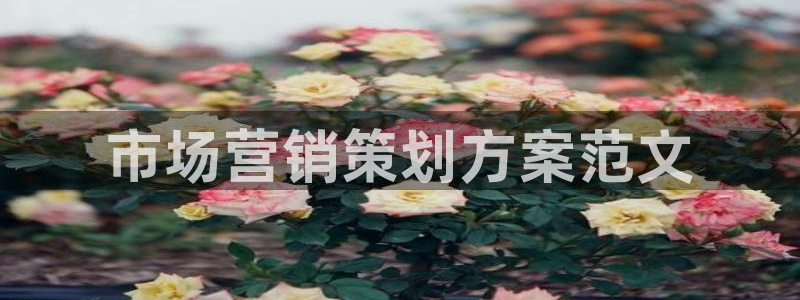 必赢官网app下载安装手机版