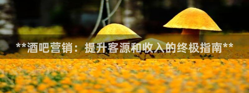 必赢科技有限公司