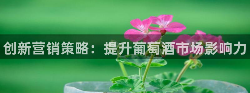 必赢官网网站首页入口