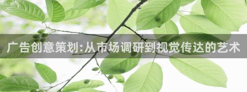 必赢官网网站入口网址