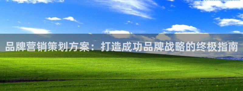 必赢手机版官网