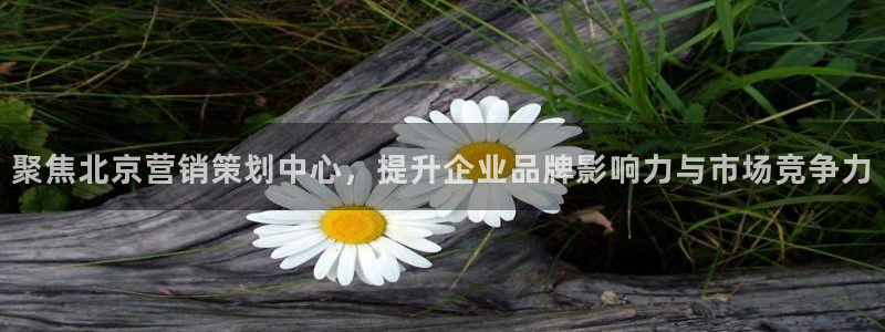 必赢官网网址多少号