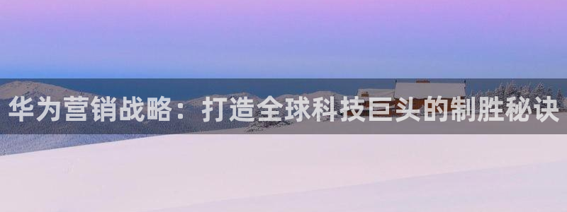 必赢网站有哪些