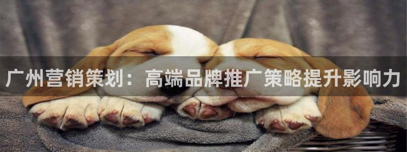 必赢亚赢网站官网下载安装