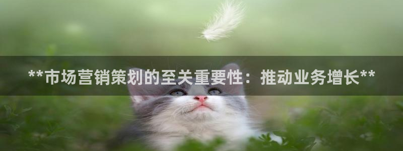 必赢网址谁知道是真的