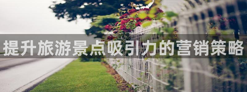 必赢3003am