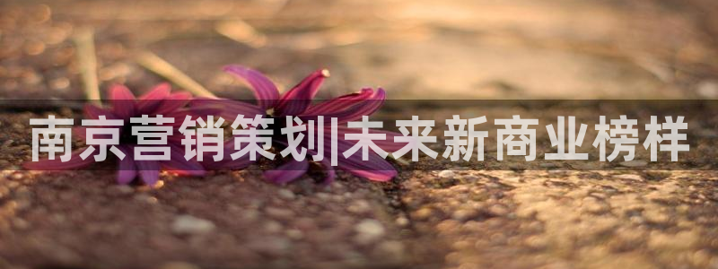 必赢棋盘官网版