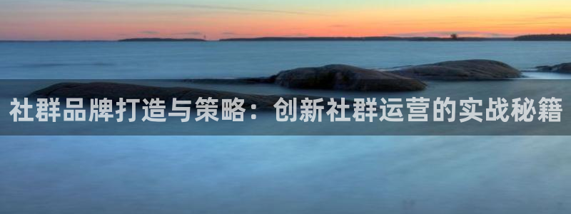 必赢公司是怎样的一家企业