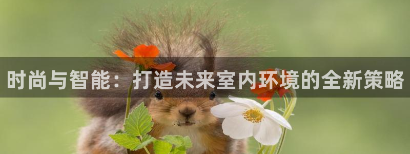 必赢网怎么打不开了呀