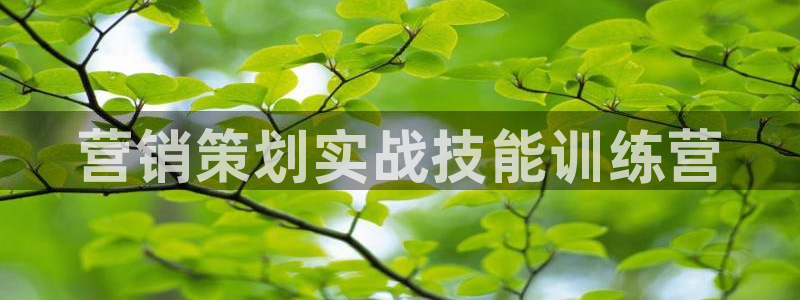 必赢下载ipad