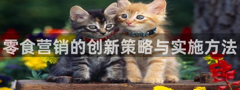 必赢3003手机网页版