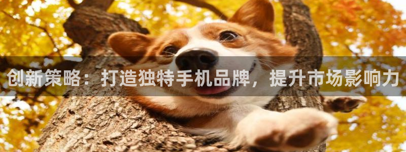 必赢集团网站是什么