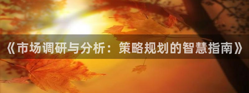 必赢公司