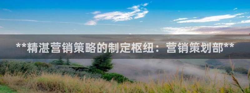 必赢平台网