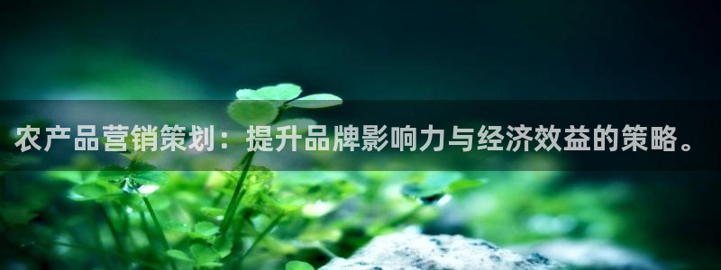 必赢官网app下载安装手机版