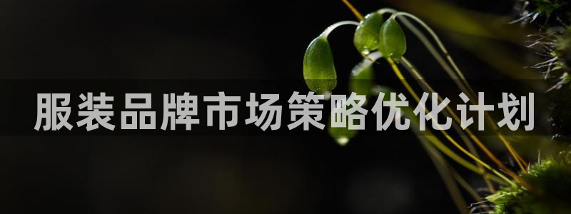 必赢官网网址多少号登录入口