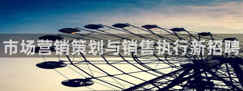必赢app是干什么的