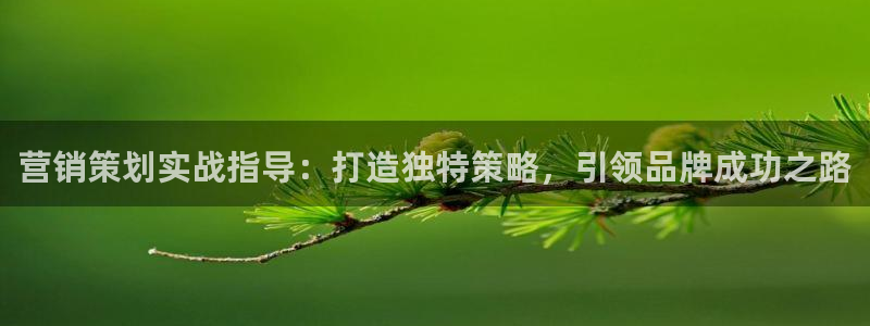 必赢国际437pay,comapp
