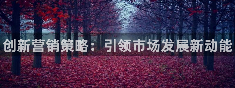 必赢官网网站首页下载