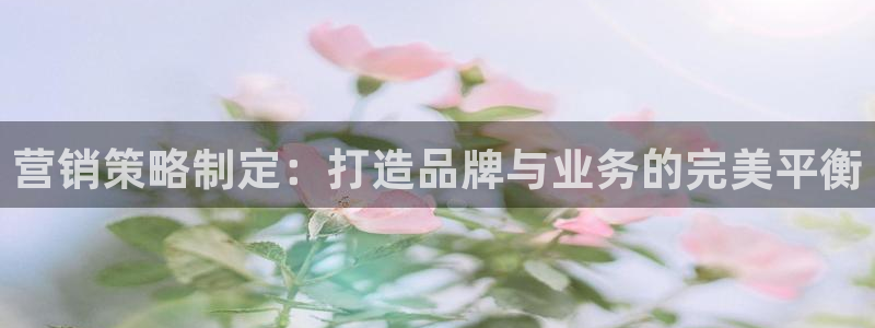 必赢国际的网站多少