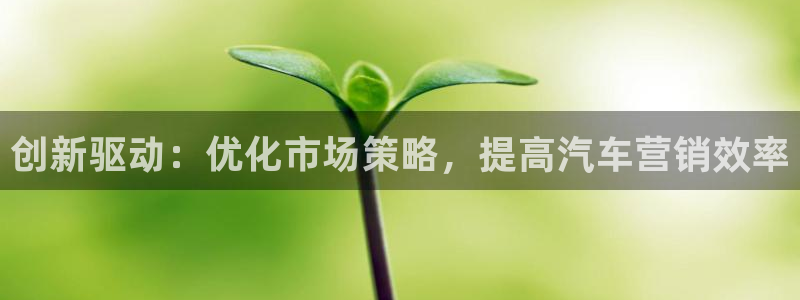 必赢亚赢网站官网下载手机版