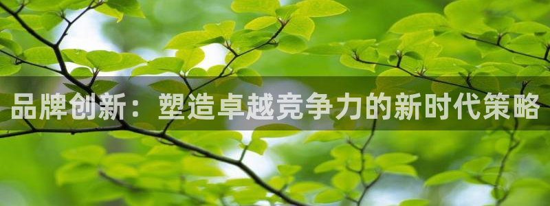 必赢app安卓版下载