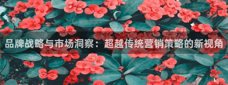 73882必赢app下载