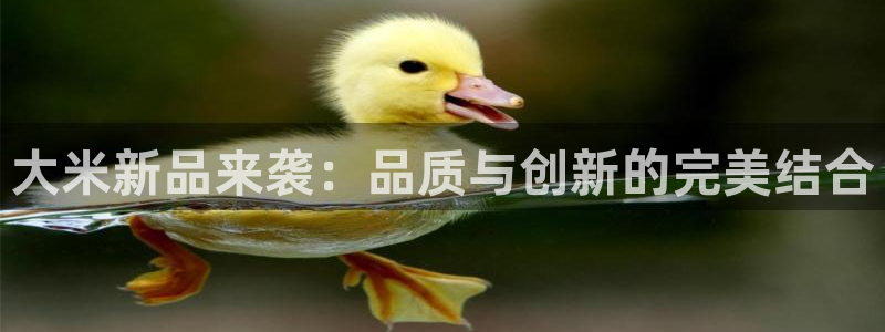 必赢官网下载安装app