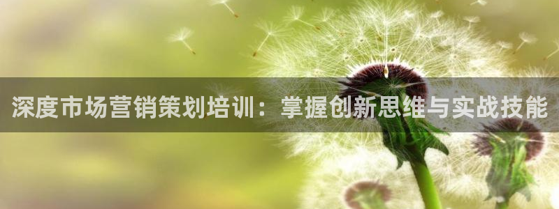 必赢棋盘app下载