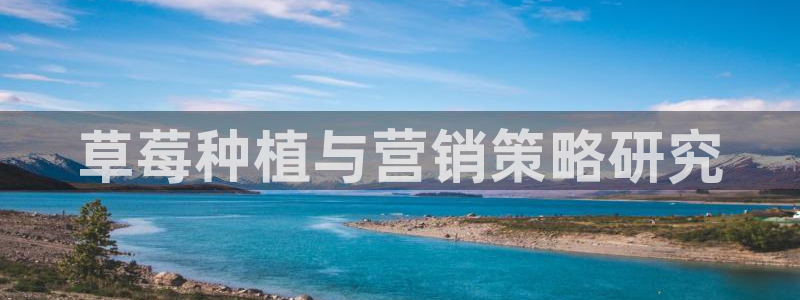 必赢亚赢网站官网下载安卓