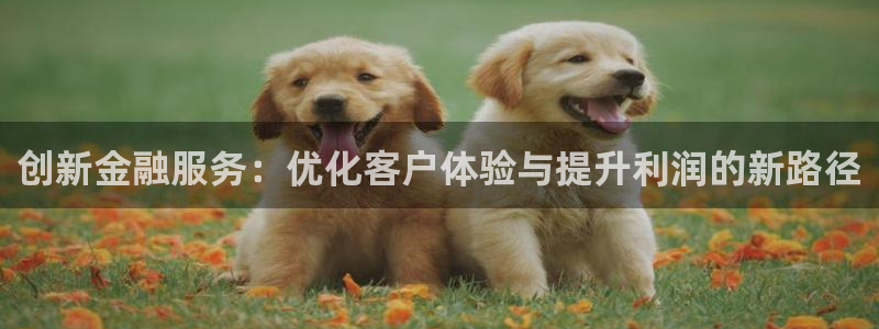 必赢手机app下载安装