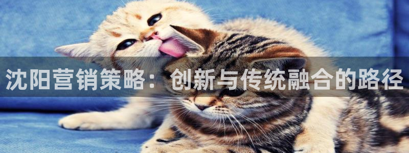 必赢官网下载安装app
