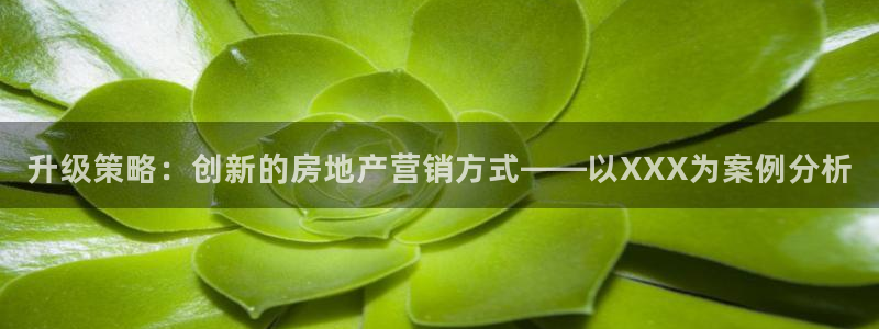 必赢官网网站入口