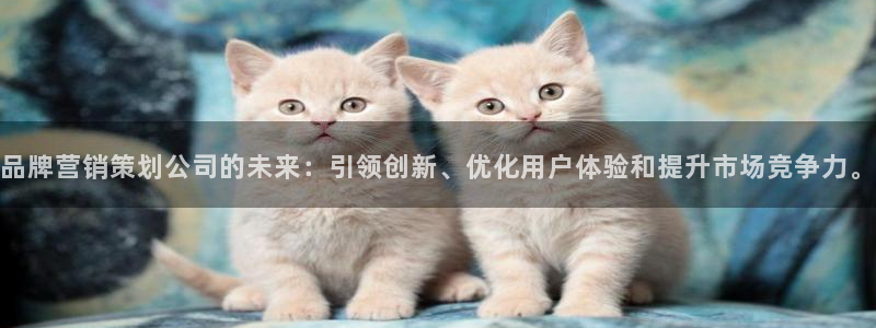 必赢国际437网页版：品牌营销