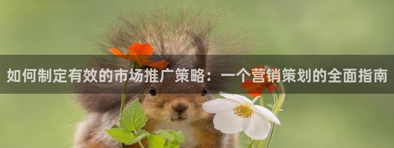 必赢.apk：如何制定有效的市
